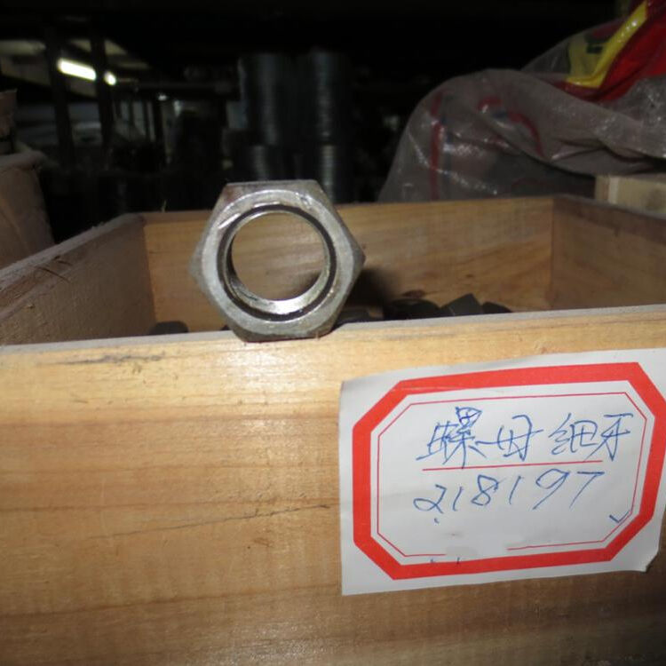 Nut 218197 Terex Steering Part