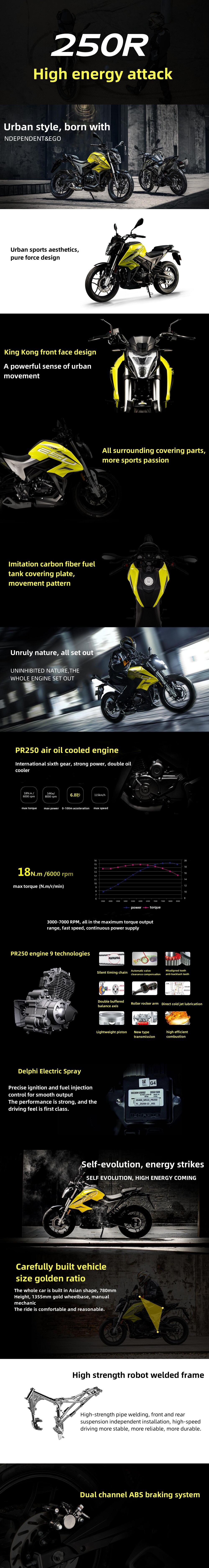 High Quality Super Power Good Price Popular promotional gas powered motorcycle gasoline scooter moped motorcycle motokars manufacture