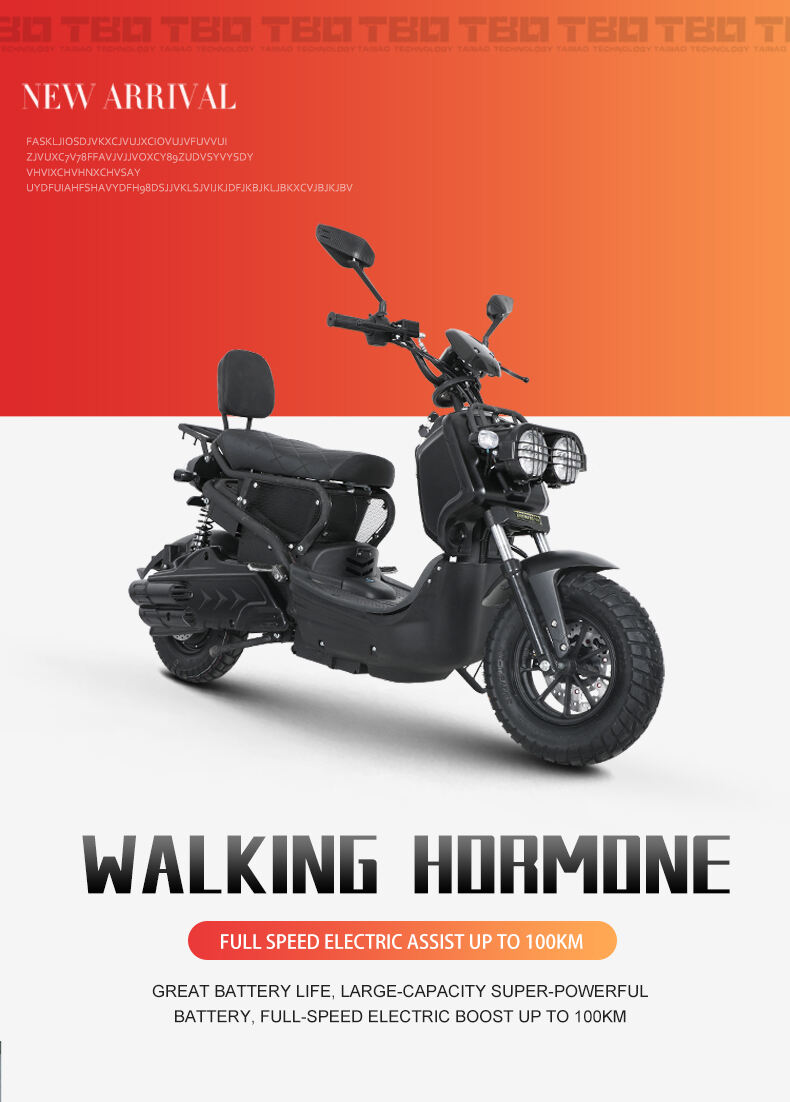 Strong body big power ZUMA Electric scooter load 200KG electric motorcycle 100KM range electric bike supplier