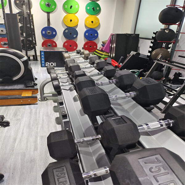 Maximisez votre routine d'entraînement musculaire avec un rack de poids d'haltères et des poids