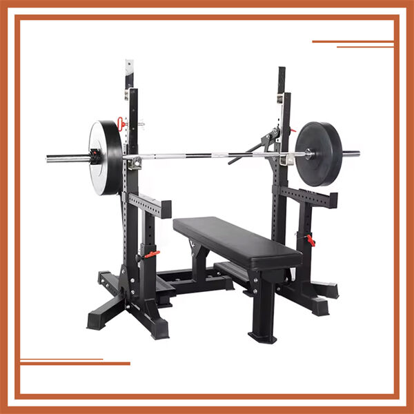 Bench Press for Everyone
