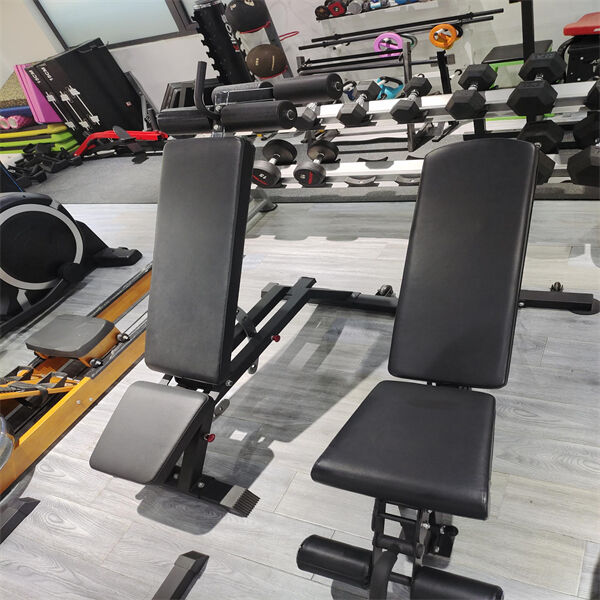 Forme deine Traumfigur mit der Gym Press Bank