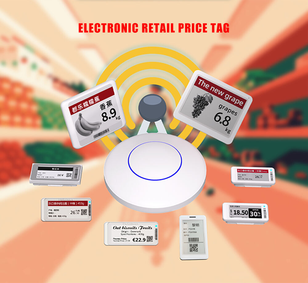 PICKSMART 10.2 ESL System E-ink E-paper Display Label Electronic Price Tag Digital Shelf Label manufacture