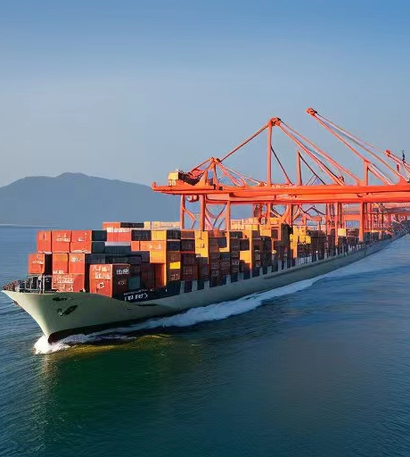 Maximal Efficacy with Wendao’s Innovated Solutions for Ocean Shipping