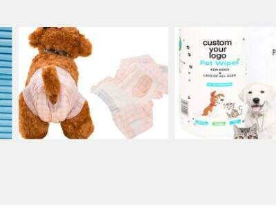 How to start a diaper business?