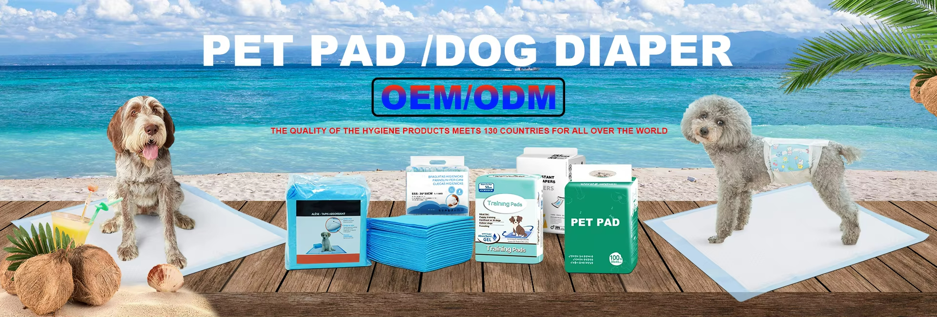 Pet Diaper manufacture