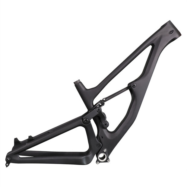 Carbon Enduro Frame X17 with UDH