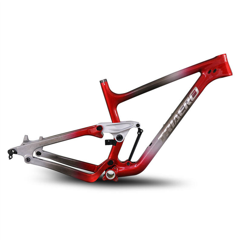 Custom Paint On Carbon MTB BOOST Frame/Customize YOUR MTB Bike /Enduro Carbon Bike Frame /Trail MTB Bike frame details