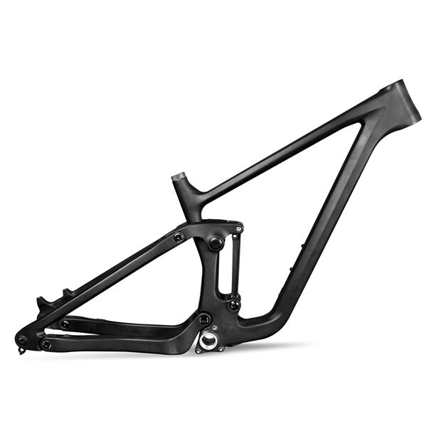 Carbon Trail Frame P13 with UDH