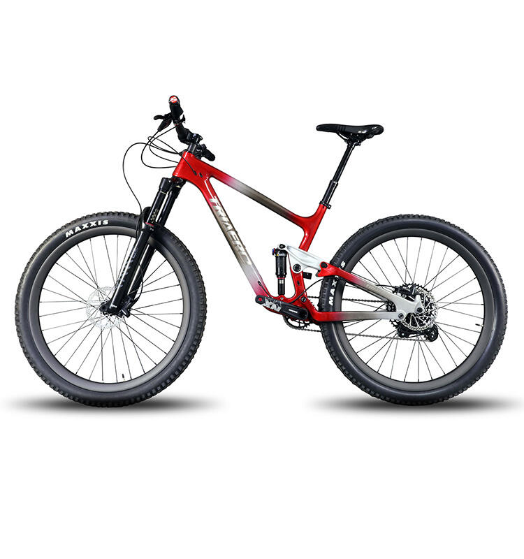 Custom Paint Full MTB Trail Boost Bike 148*12mm UDH Rear Hanger Bicycle
