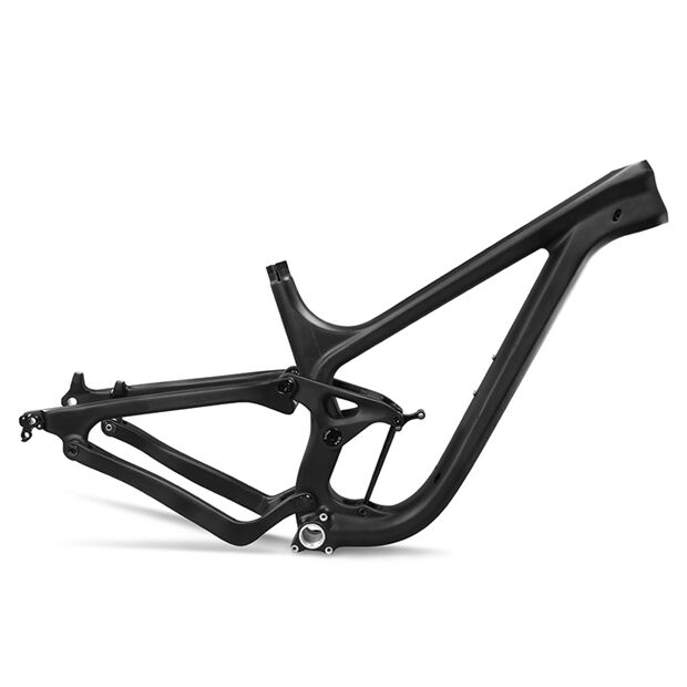 Carbon Enduro Frame P9