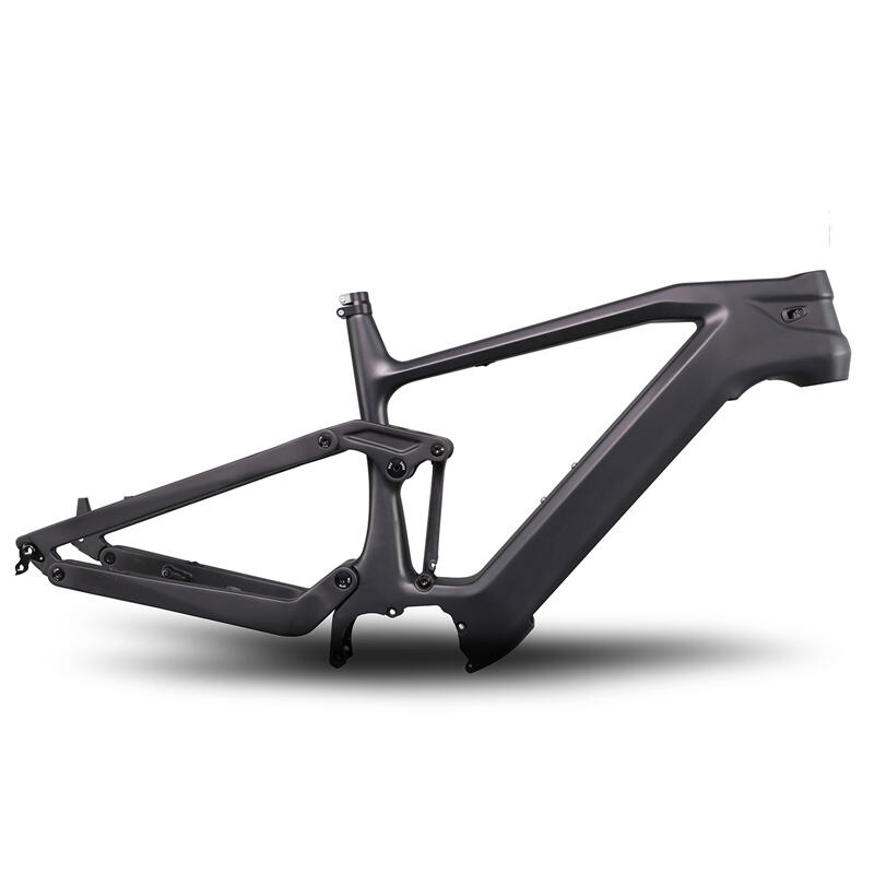 Carbon Fat/MTB E bike frame E18