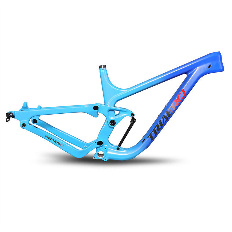 Custom Paint On Carbon MTB BOOST Frame/Customize YOUR MTB Bike /Enduro Carbon Bike Frame /Trail MTB Bike frame