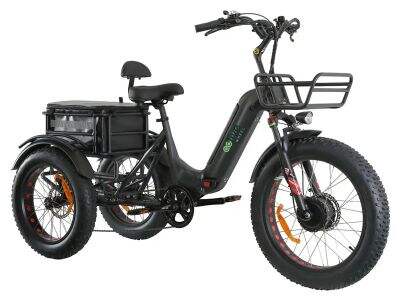 How Our Electric Tricycles Combine Innovation, Comfort, and Efficiency