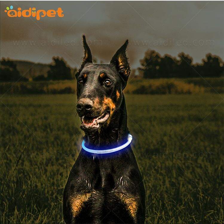 AIDI-C1 LED dog collar manufacture