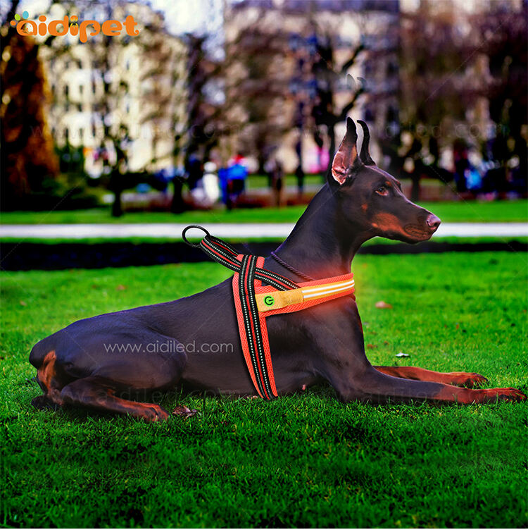 AIDI-M2  LED Dog harness manufacture