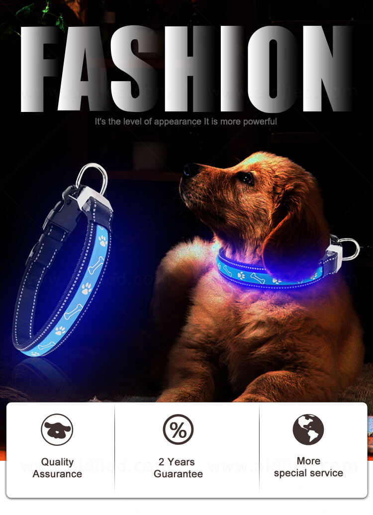 AIDI-C19 LED dog collar