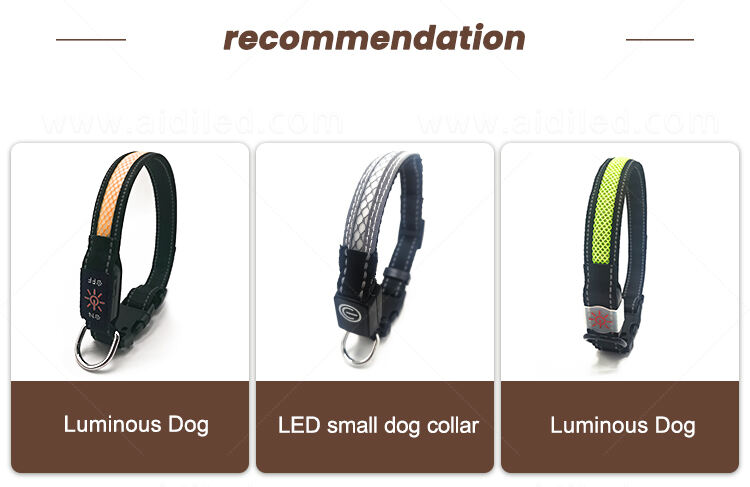 AIDI-C11SS LED dog collar supplier