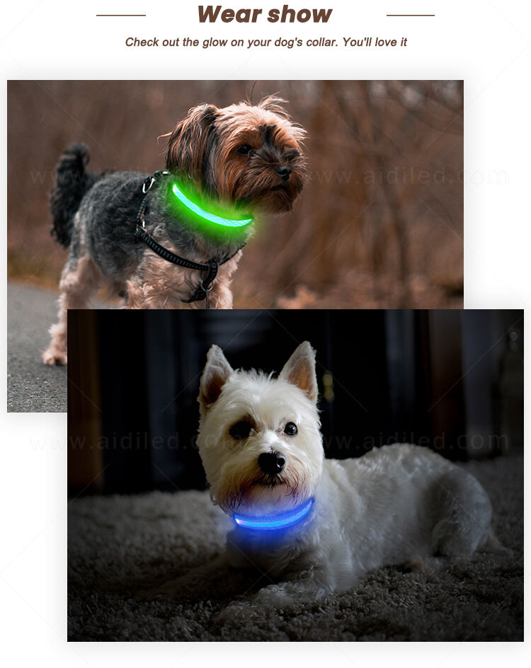 AIDI-C11SS LED dog collar factory