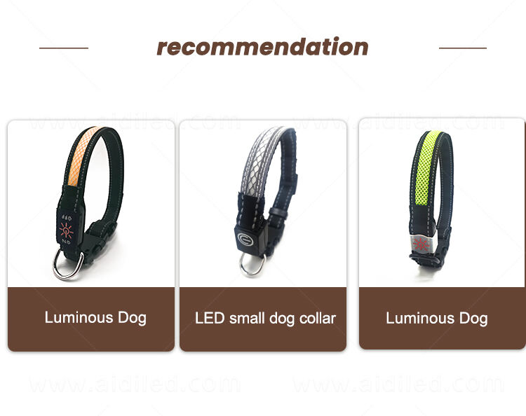 AIDI-C11SS LED dog collar manufacture