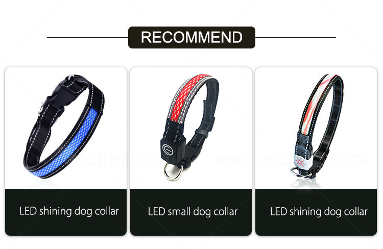 AIDI-C11NEW LED dog collar details