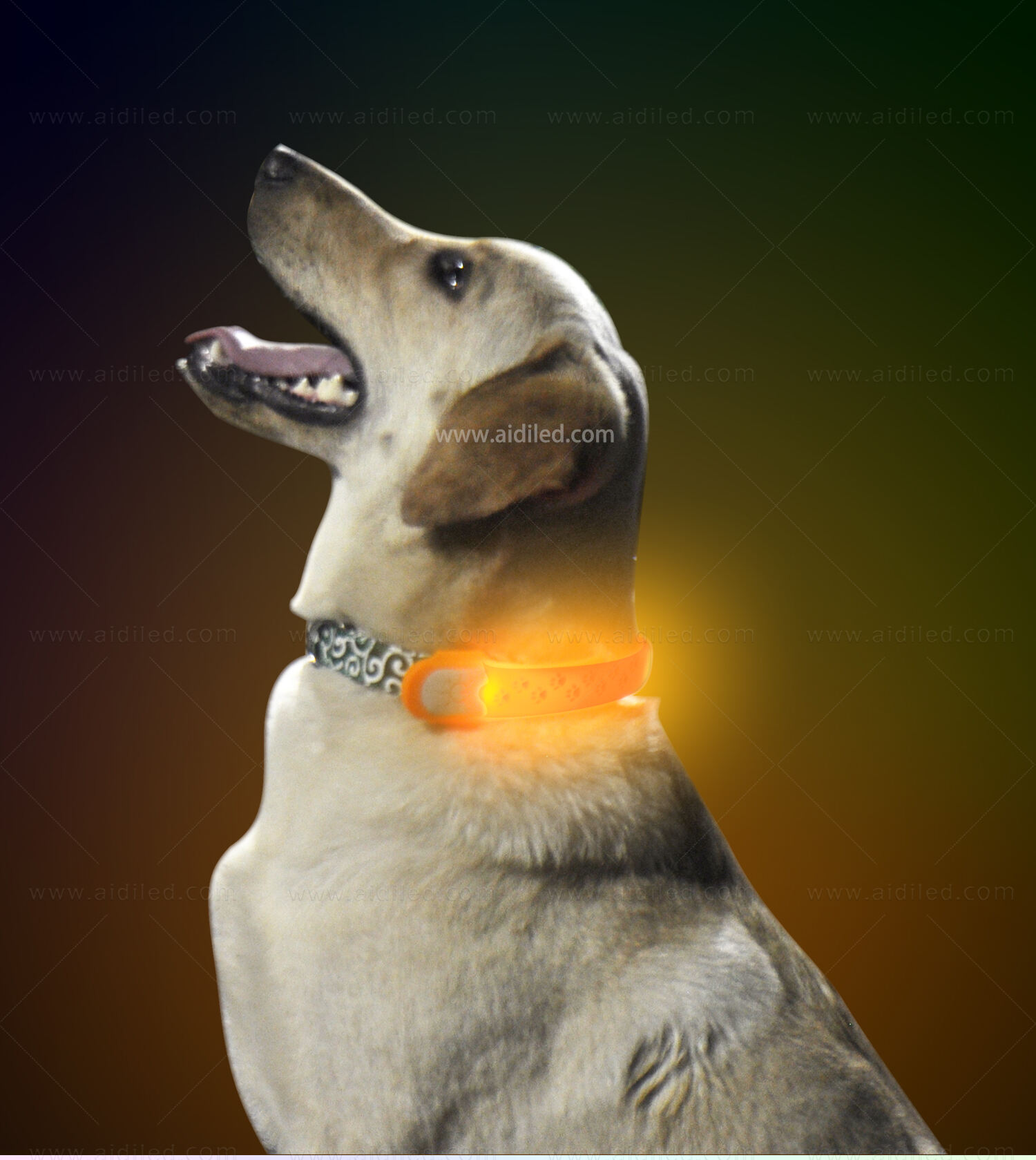 AIDI-M2LED dog collar supplier