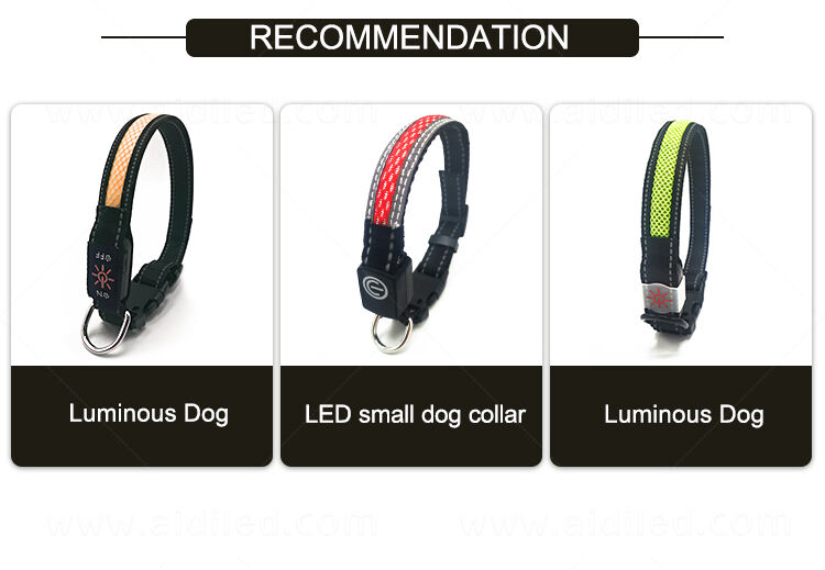 AIDI-C30 LED dog collar factory