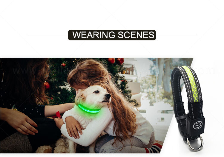 AIDI-C30 LED dog collar manufacture