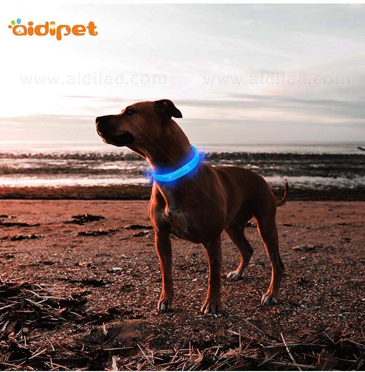 AIDI-C9 LED dog collar supplier