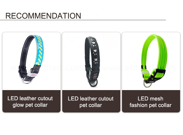 AIDI-C19 LED dog collar details