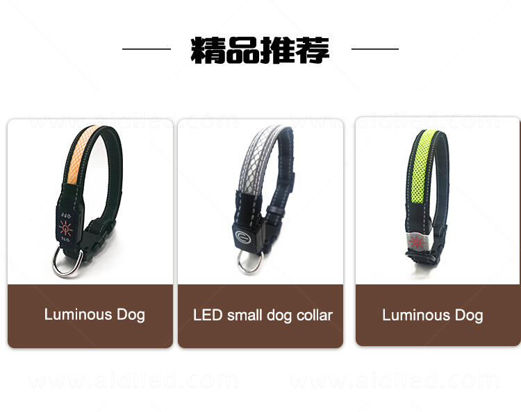 AIDI-C11SS LED dog collar