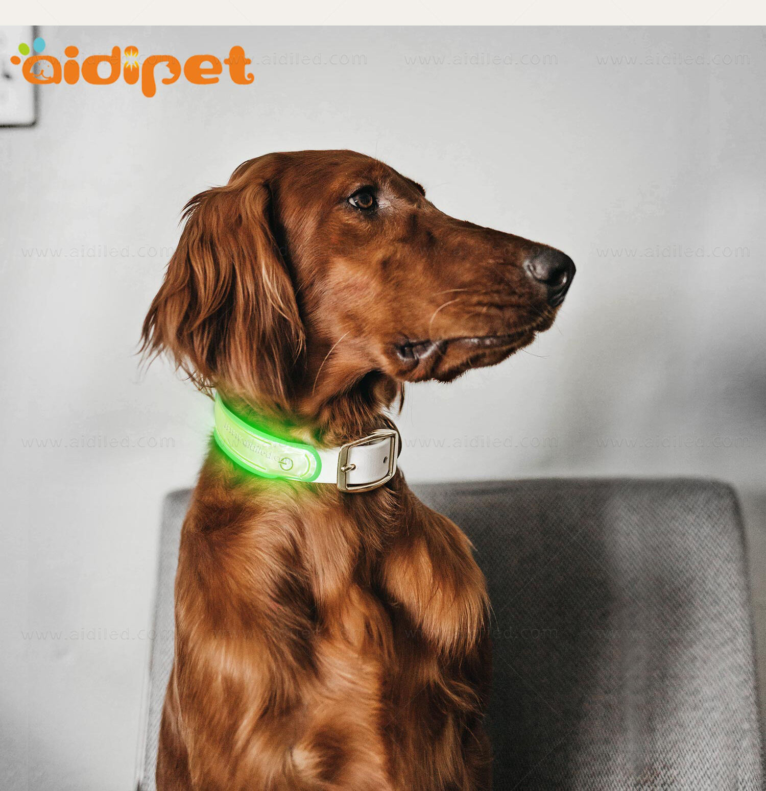 AIDI-M3 LED dog collar supplier