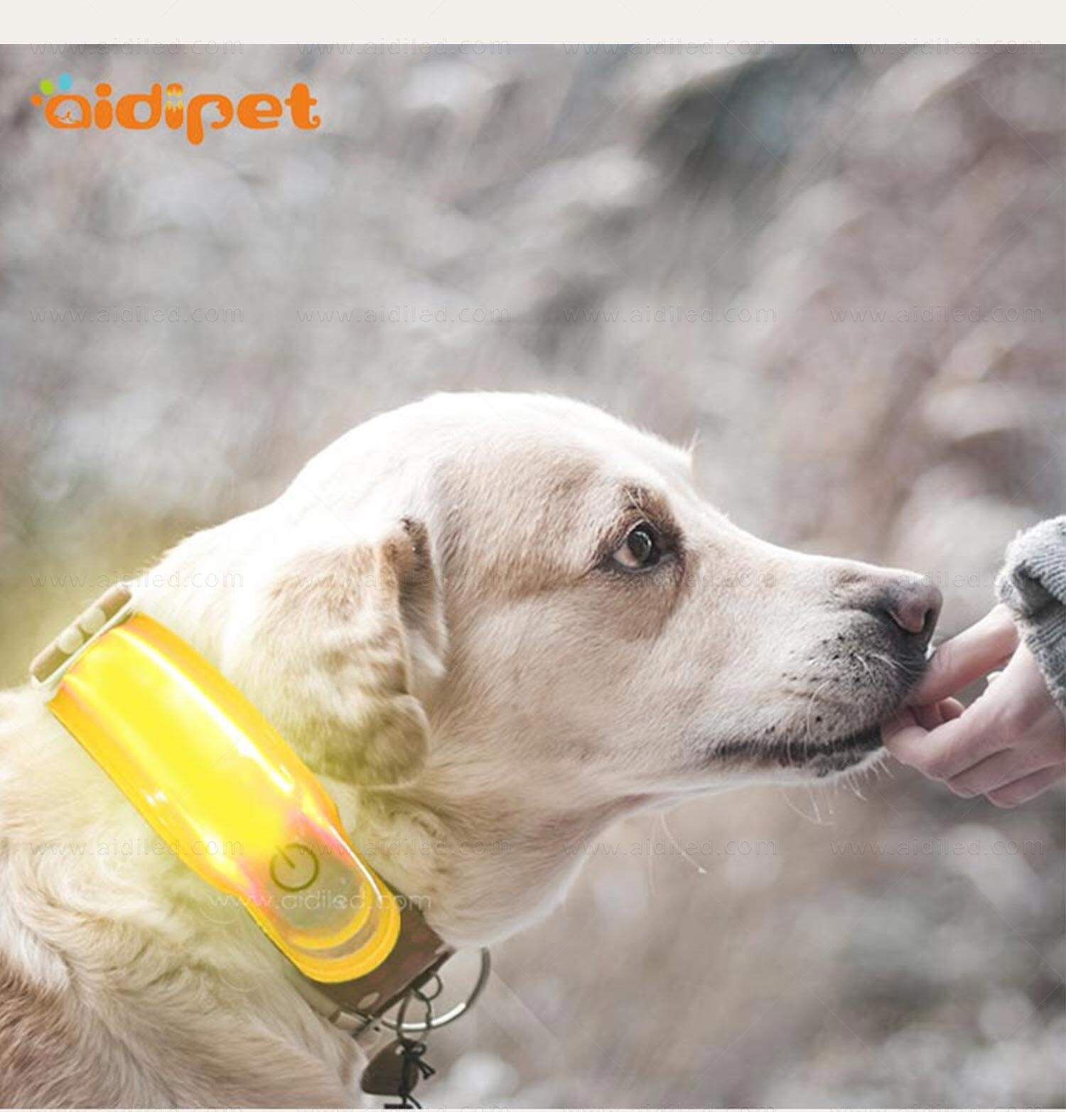 AIDI-M3 LED dog collar manufacture