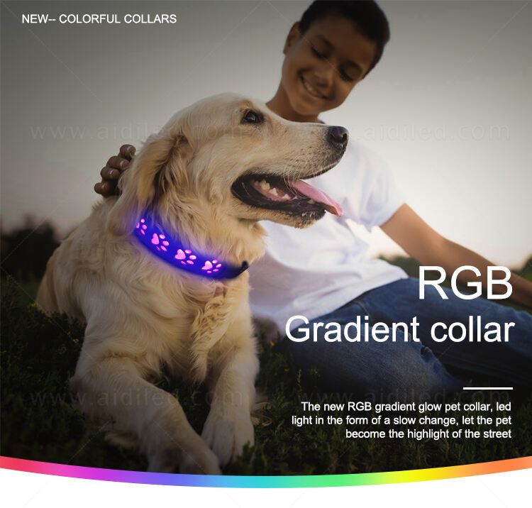 AIDI-C14 LED dog collar supplier