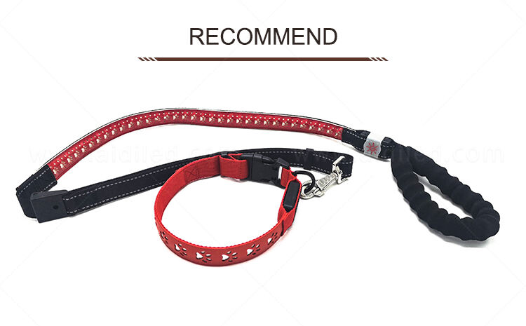 AIDI-C14 LED dog collar supplier