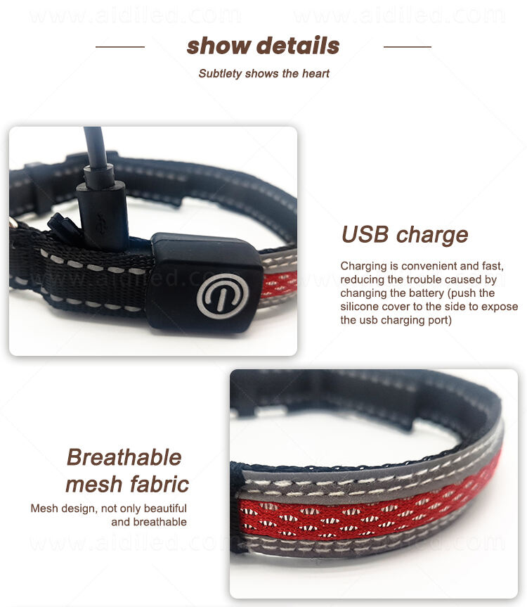 AIDI-C11SS LED dog collar details