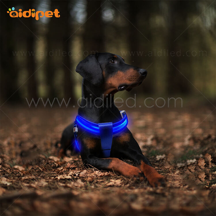 AIDI-M2  LED Dog harness supplier