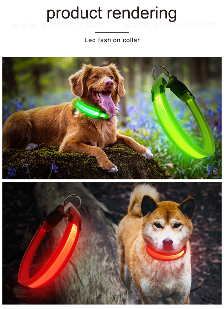 AIDI-C26 LED dog collar supplier