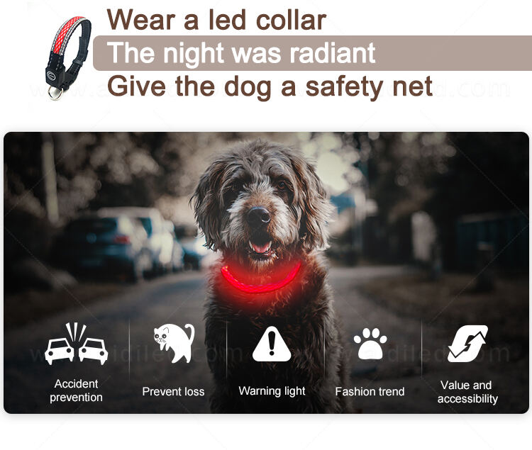 AIDI-C11SS LED dog collar manufacture