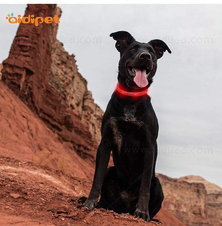 AIDI-C9 LED dog collar supplier