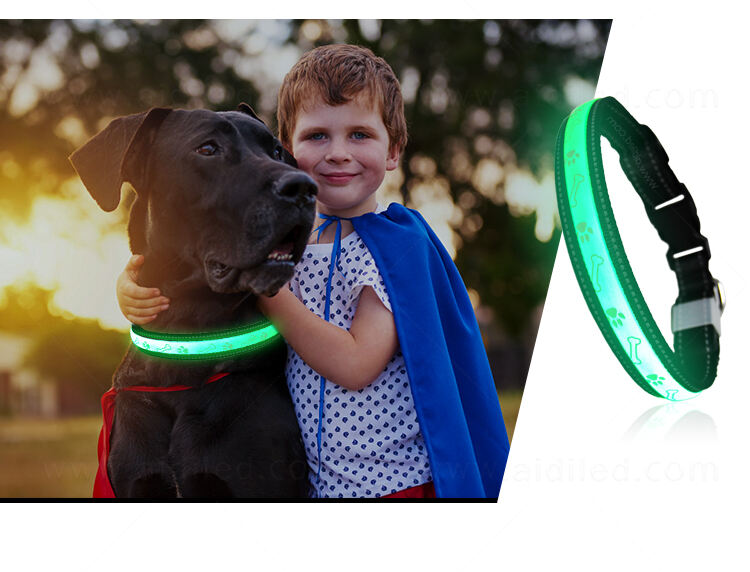 AIDI-C19 LED dog collar manufacture