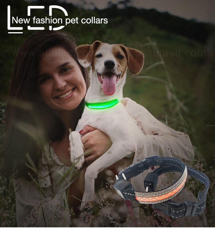 AIDI-C30 LED dog collar