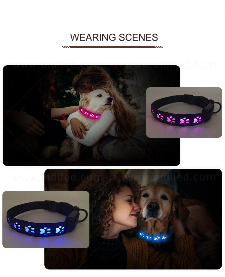 AIDI-C14 LED dog collar details