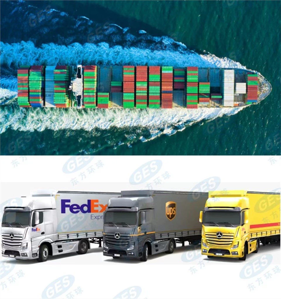 Sea Freight+Express To USA