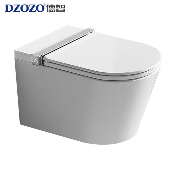 Effortlessly Modernize Your Washroom With a Wall-Mounted Commode and Flush Tank
