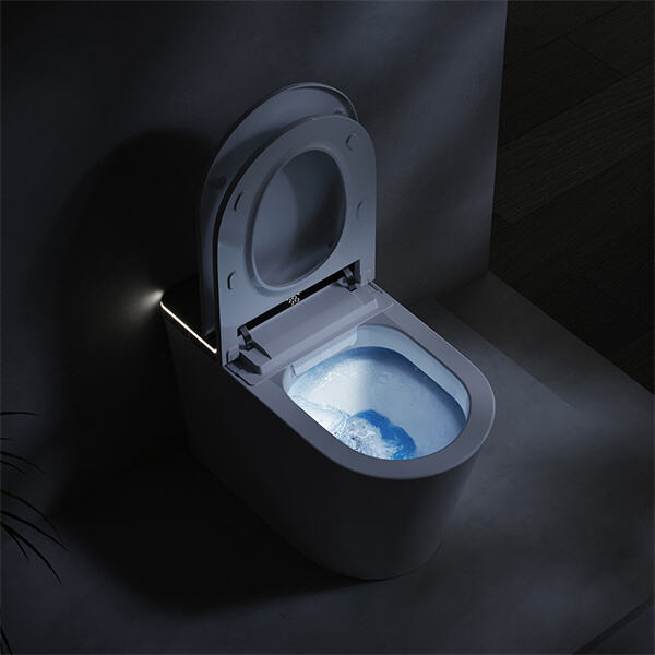 Upgrade Your Bathroom Experience with an Intelligent Toilet Bowl.