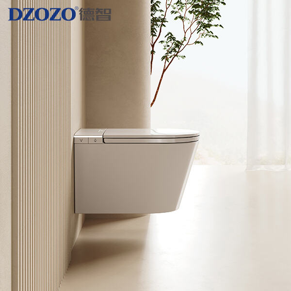 The Eco-Friendly Wall Hanging Toilet Option