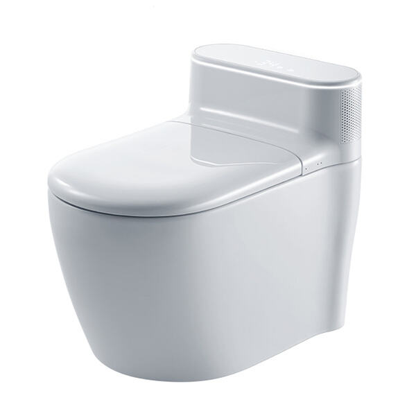 High-Tech Toilets for Every Home