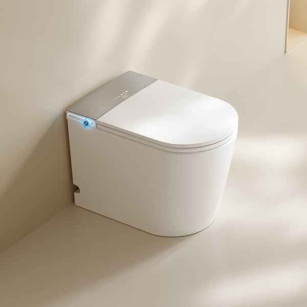 Die Vorteile der Nutzung einer westlichen Toilette