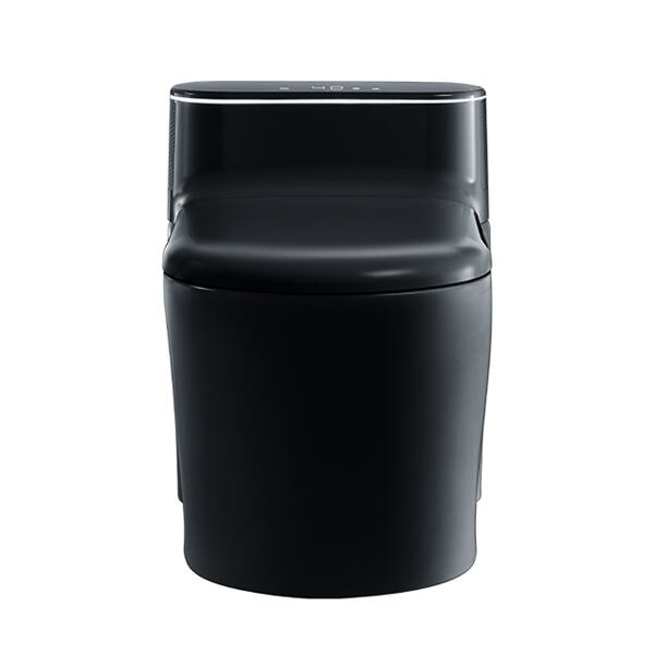 Cleaning and maintenance of back to wall toilets